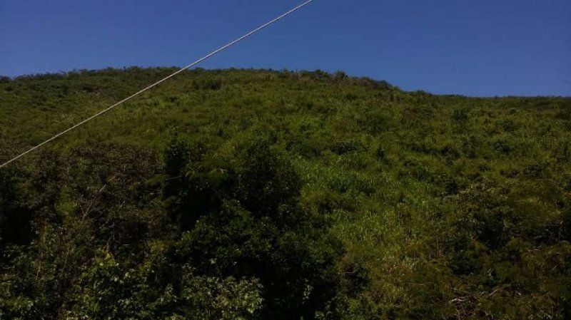 Fazenda à venda, 773m² - Foto 8