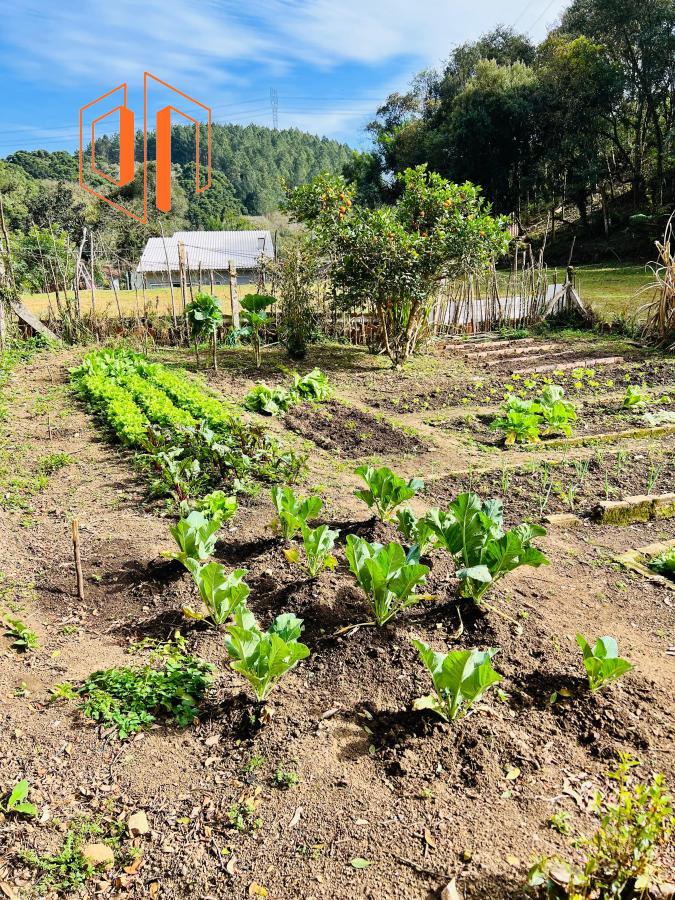 Chácara à venda, 10000m² - Foto 18