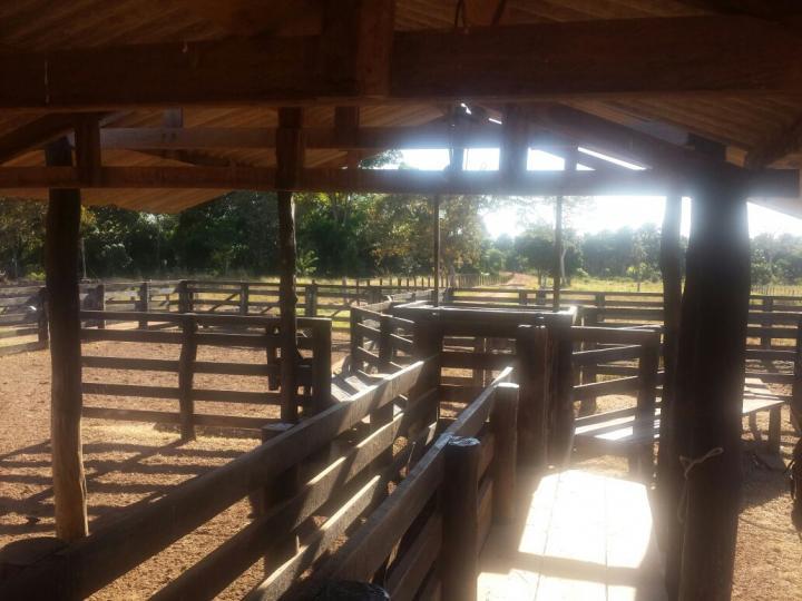 Fazenda à venda com 3 quartos - Foto 20