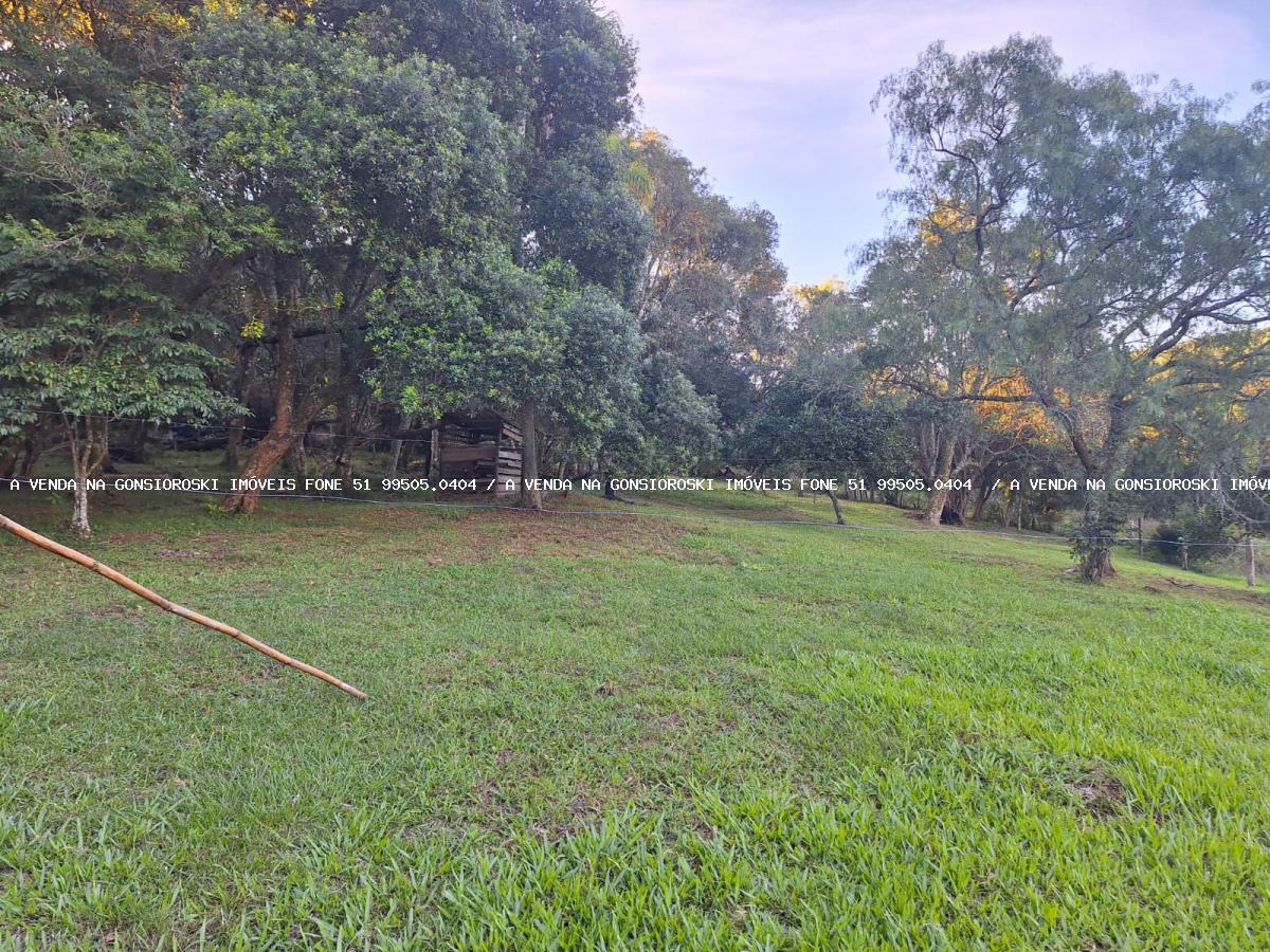 Sítio à venda com 3 quartos, 6350m² - Foto 26