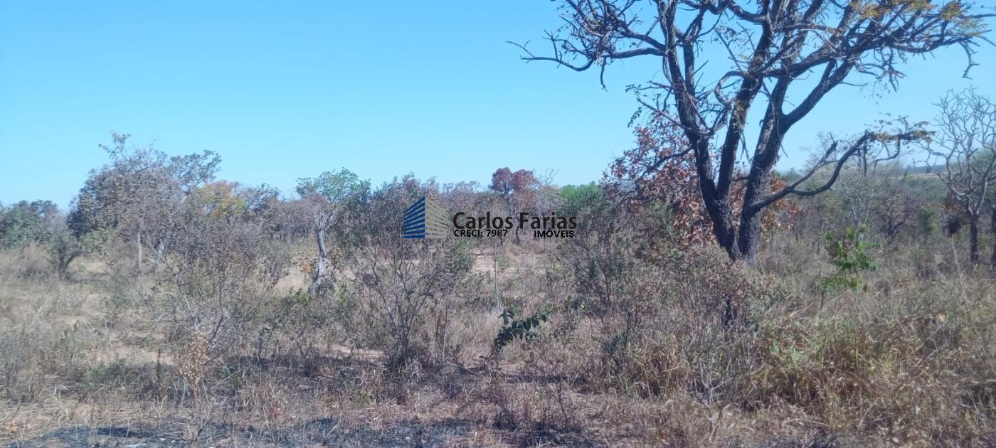 Chácara à venda, 20000m² - Foto 11
