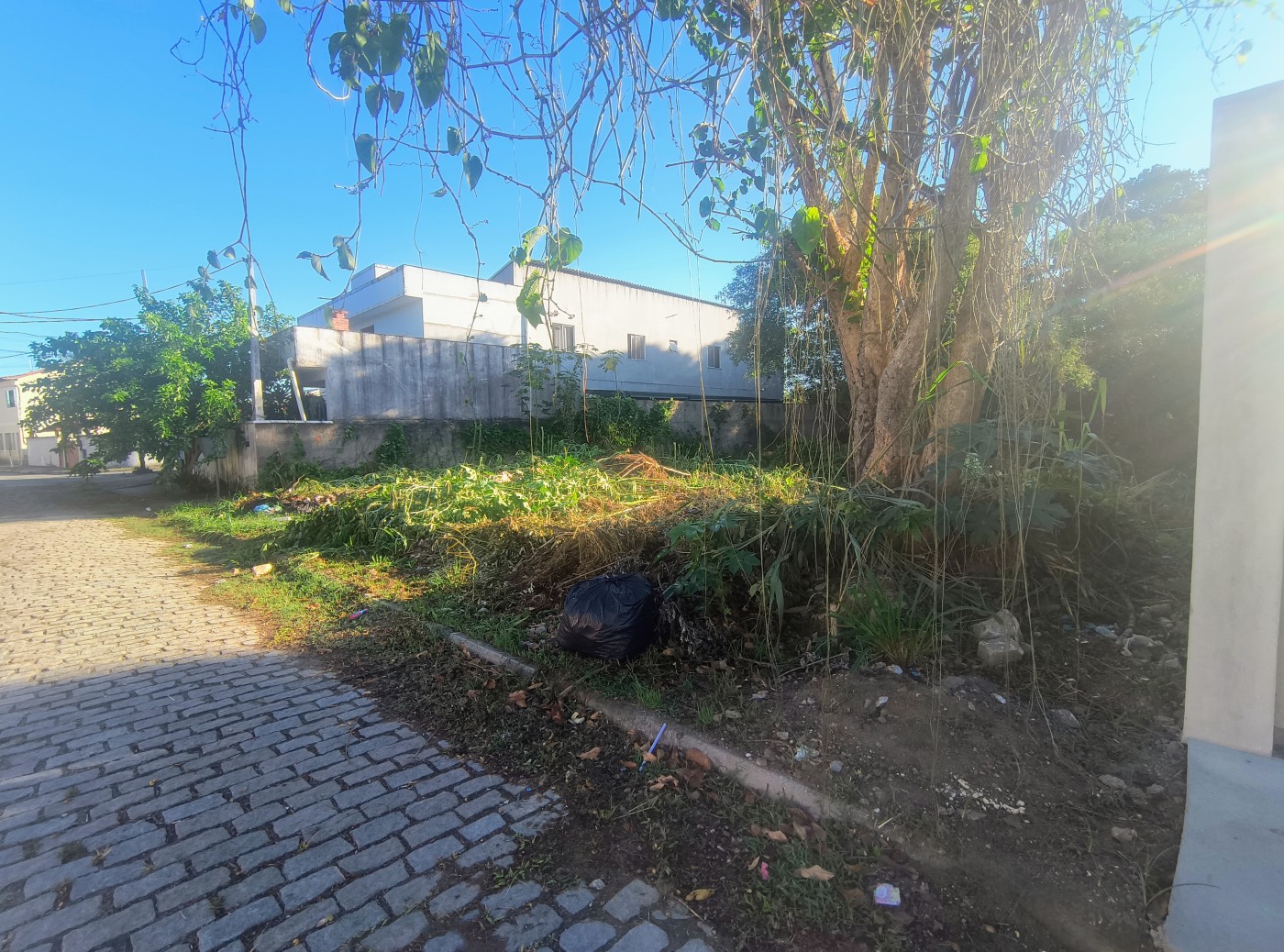 Terreno à venda, 450m² - Foto 3