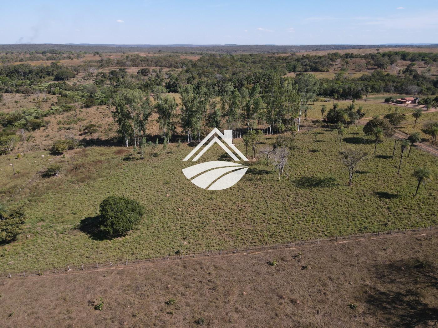 Fazenda à venda com 3 quartos, 452980m² - Foto 7