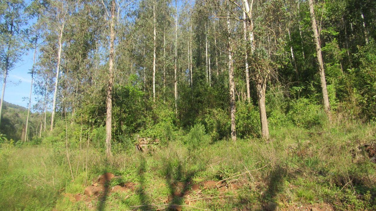 Terreno à venda, 40000m² - Foto 10