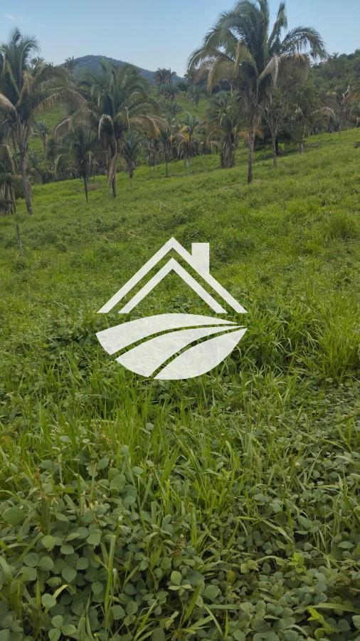 Fazenda à venda, 1m² - Foto 21