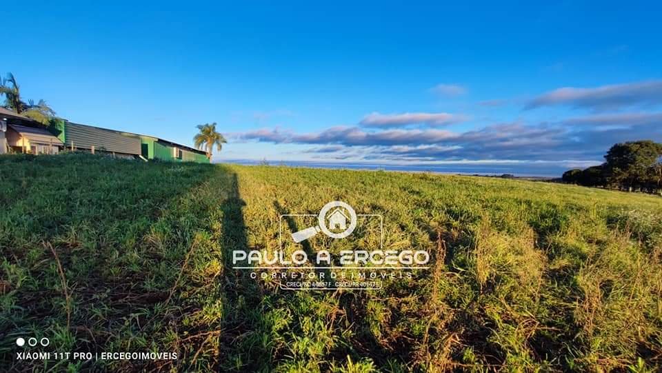 Chácara à venda com 1 quarto, 4125m² - Foto 2