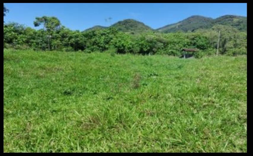 Fazenda à venda com 3 quartos, 260m² - Foto 4