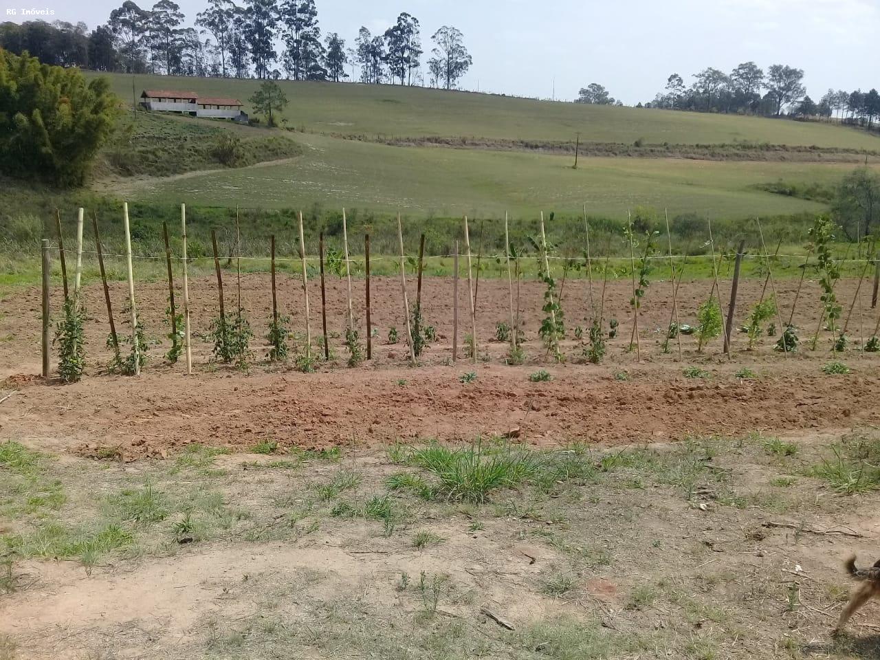 Sítio à venda com 2 quartos, 110m² - Foto 11