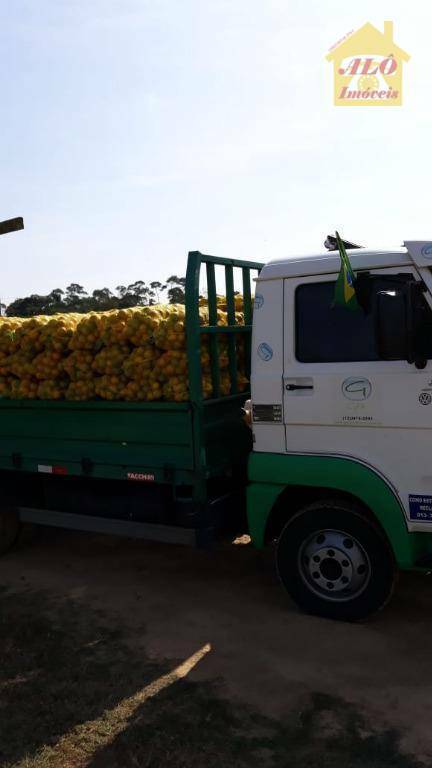 Fazenda à venda com 8 quartos, 1000m² - Foto 58
