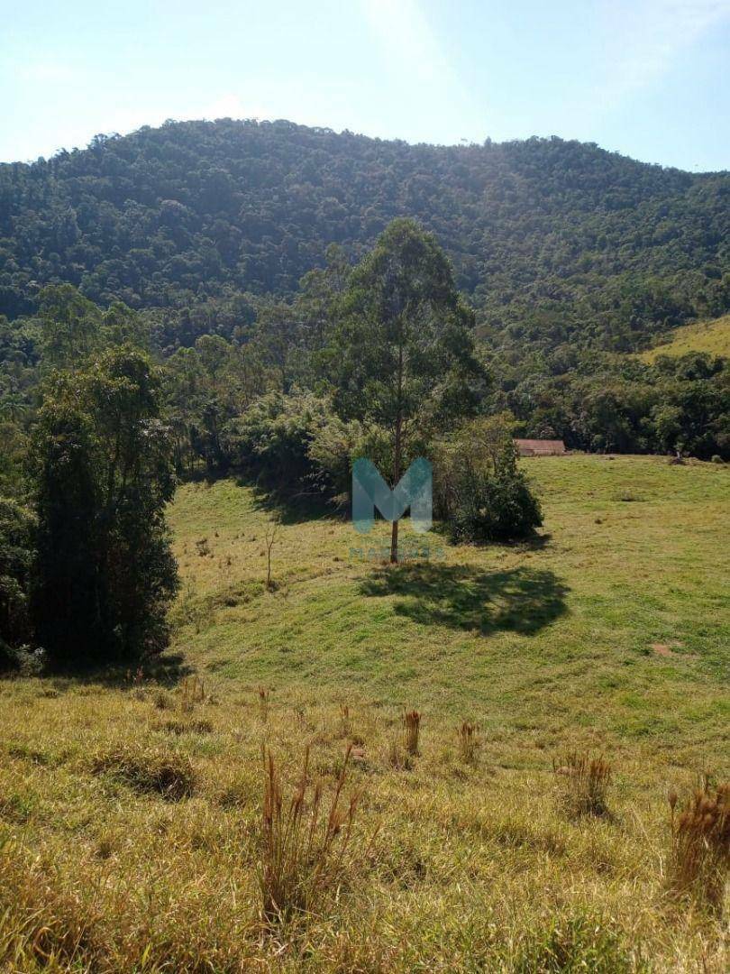 Sítio à venda com 3 quartos, 140m² - Foto 7