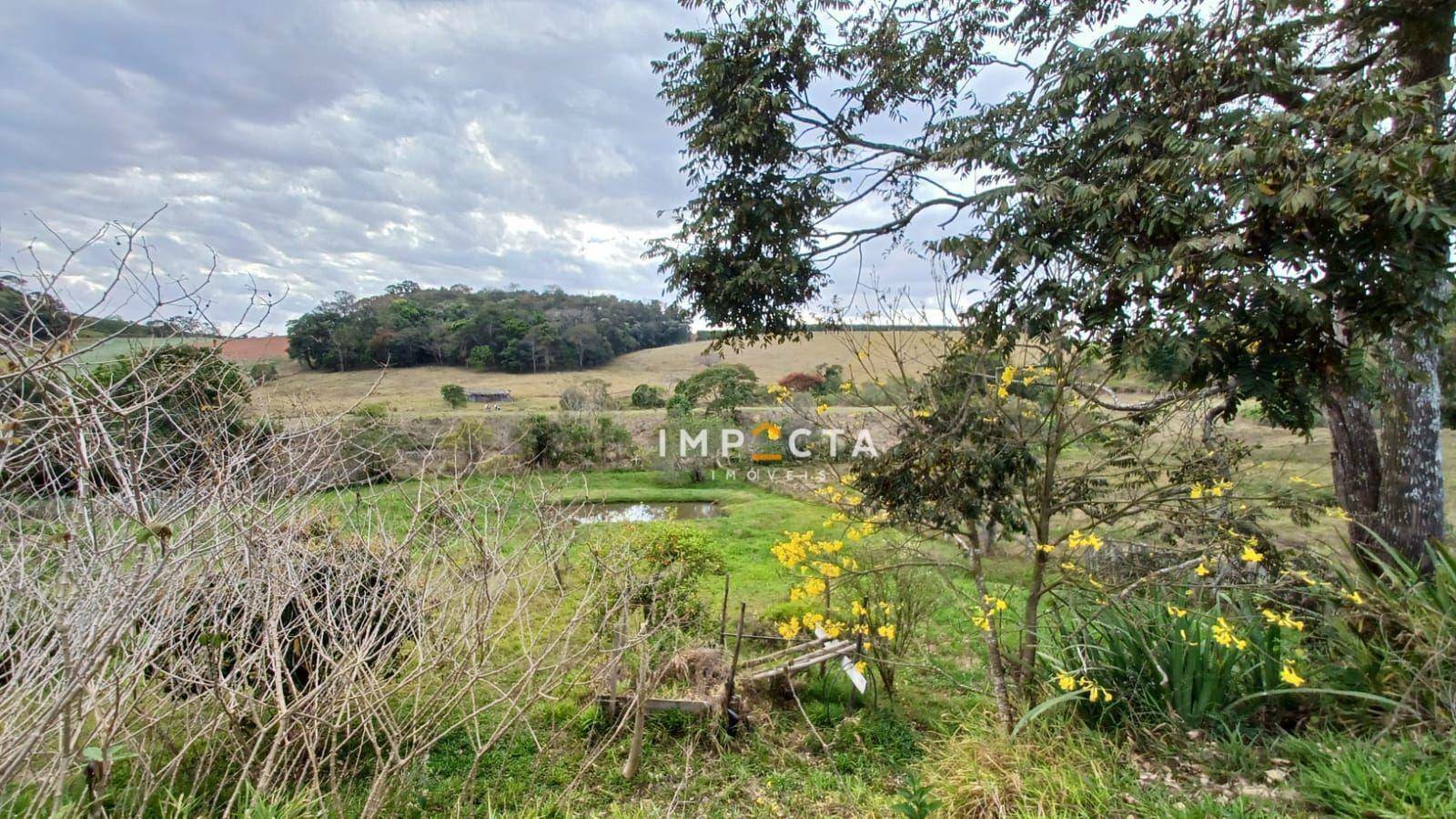 Chácara à venda com 1 quarto, 6000M2 - Foto 17