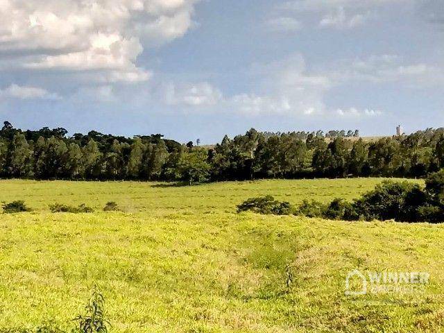 Chácara à venda, 20000M2 - Foto 1