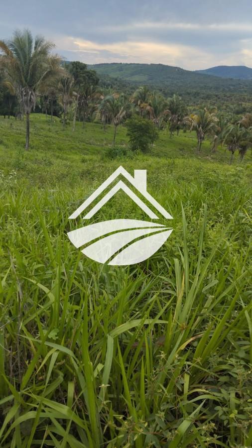 Fazenda à venda, 1m² - Foto 19