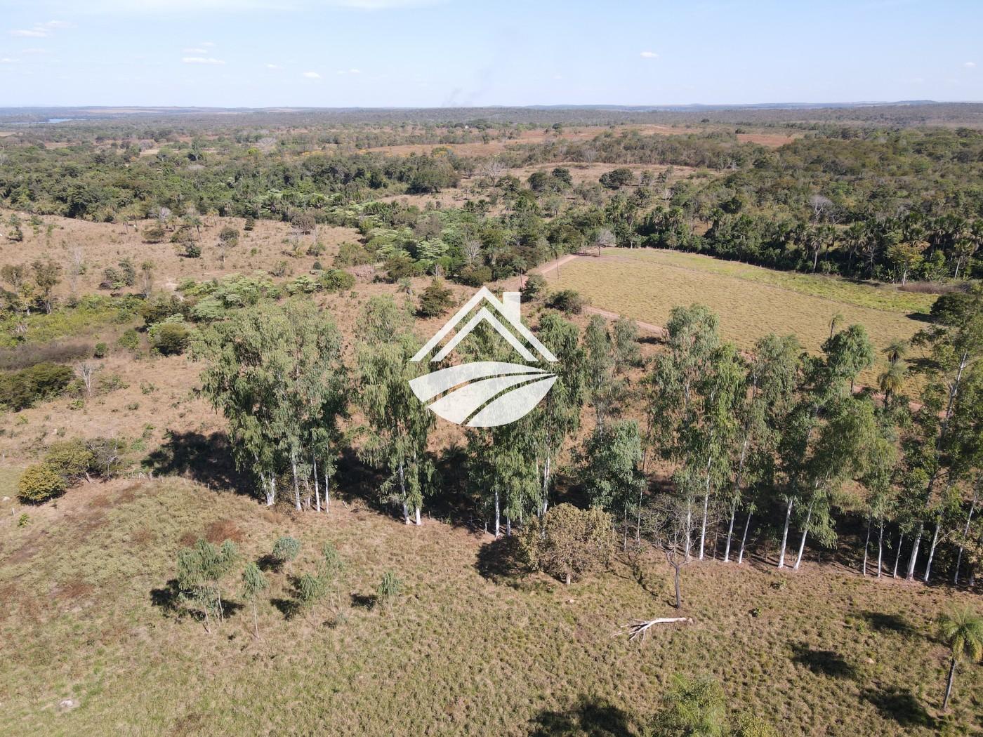 Fazenda à venda com 3 quartos, 452980m² - Foto 10