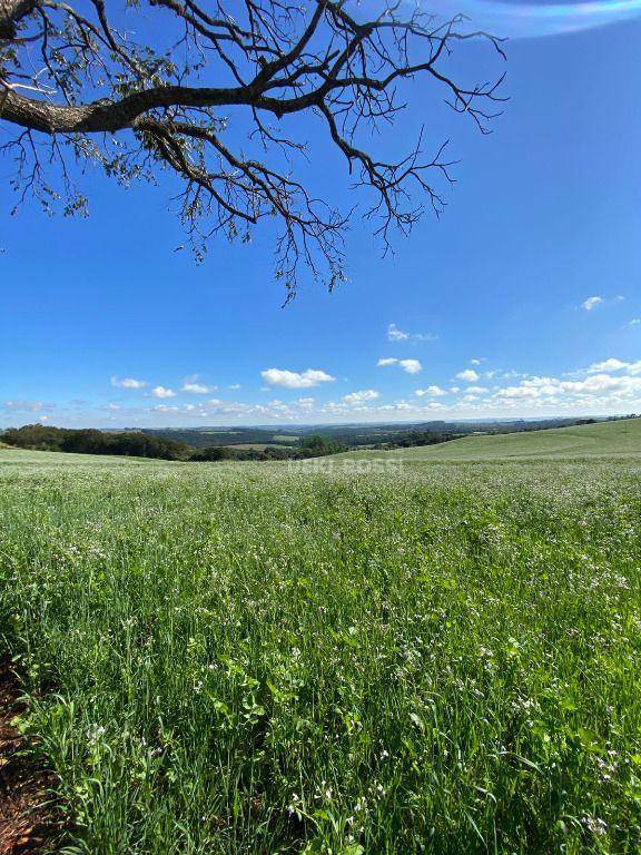 Fazenda à venda, 484000M2 - Foto 10