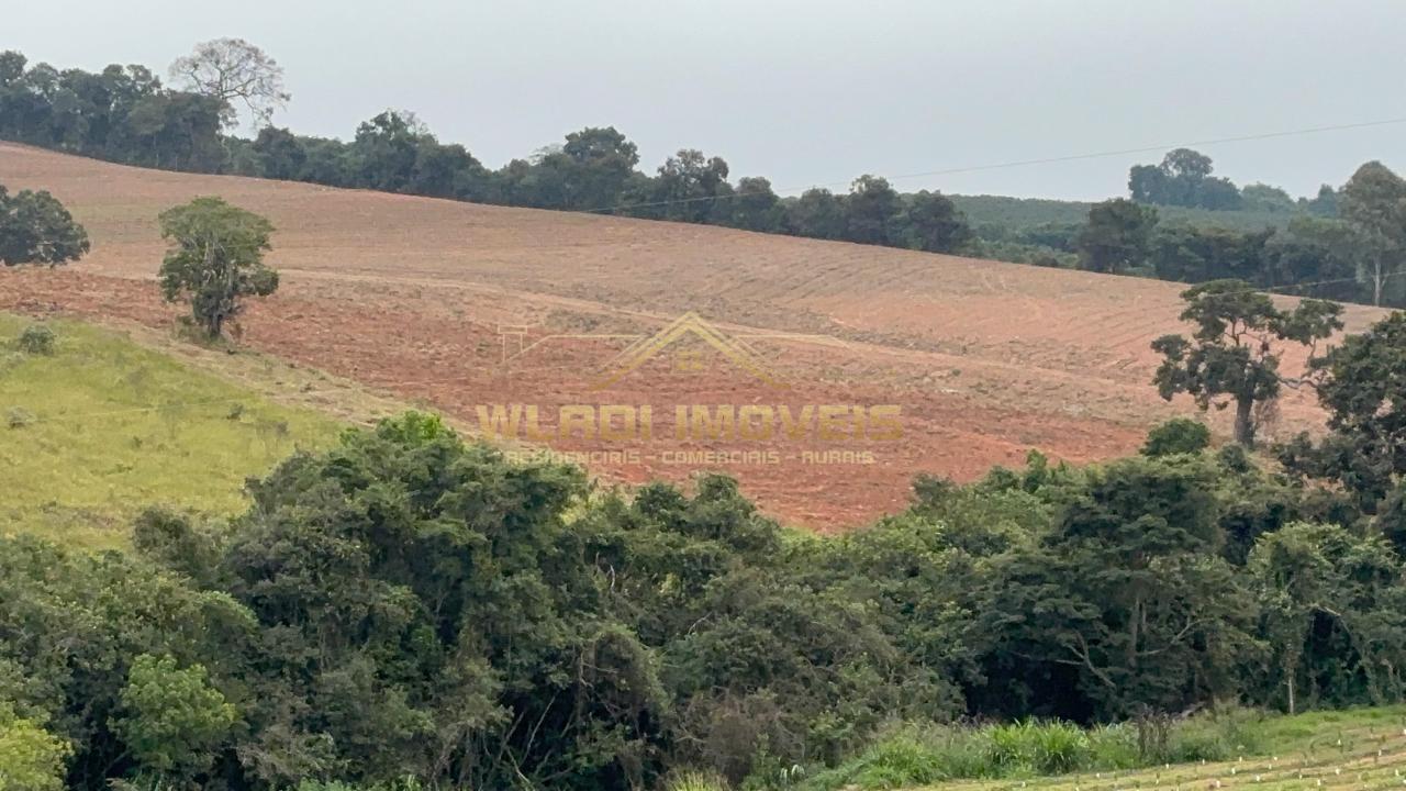 Fazenda à venda, 45m² - Foto 14