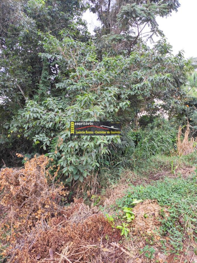 Terreno à venda, 2394m² - Foto 34