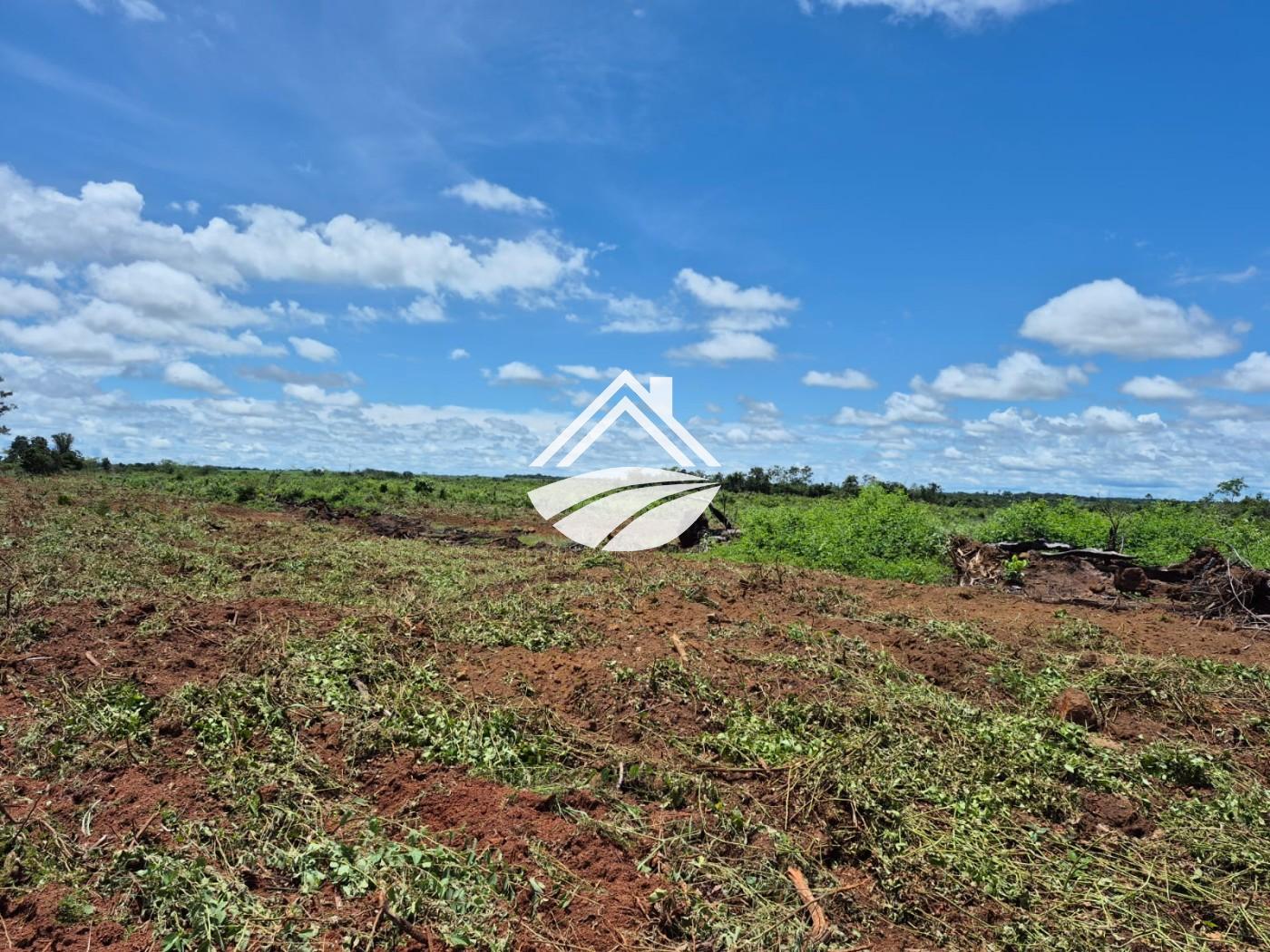 Fazenda à venda, 1m² - Foto 8