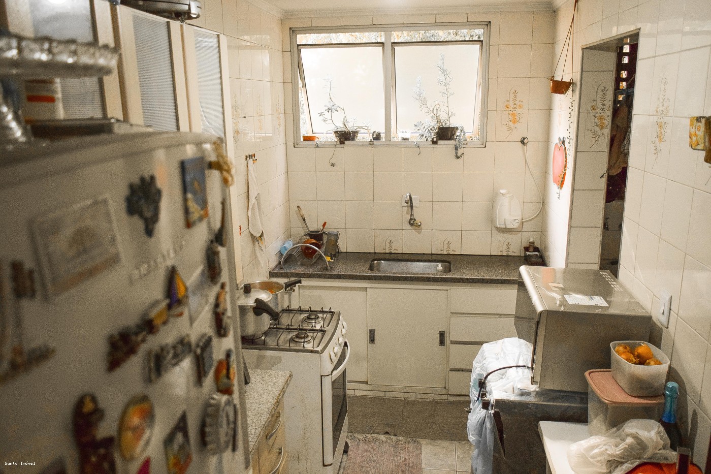 Apartamento à venda com 2 quartos, 56m² - Foto 4