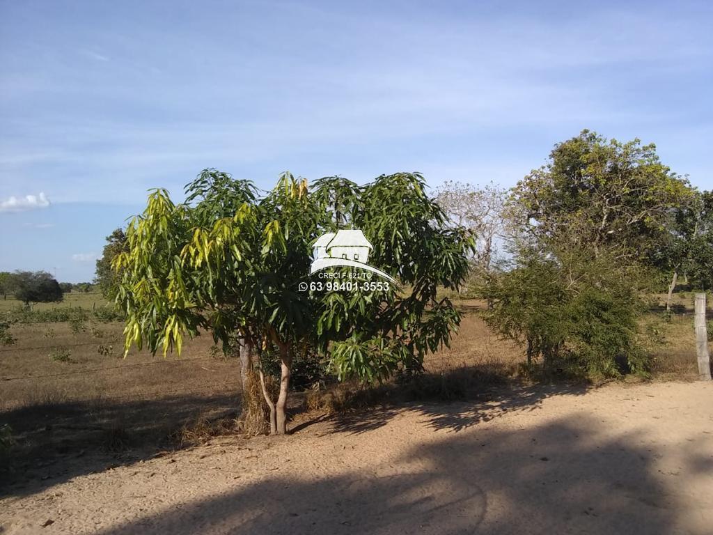 Fazenda à venda, 968000m² - Foto 4