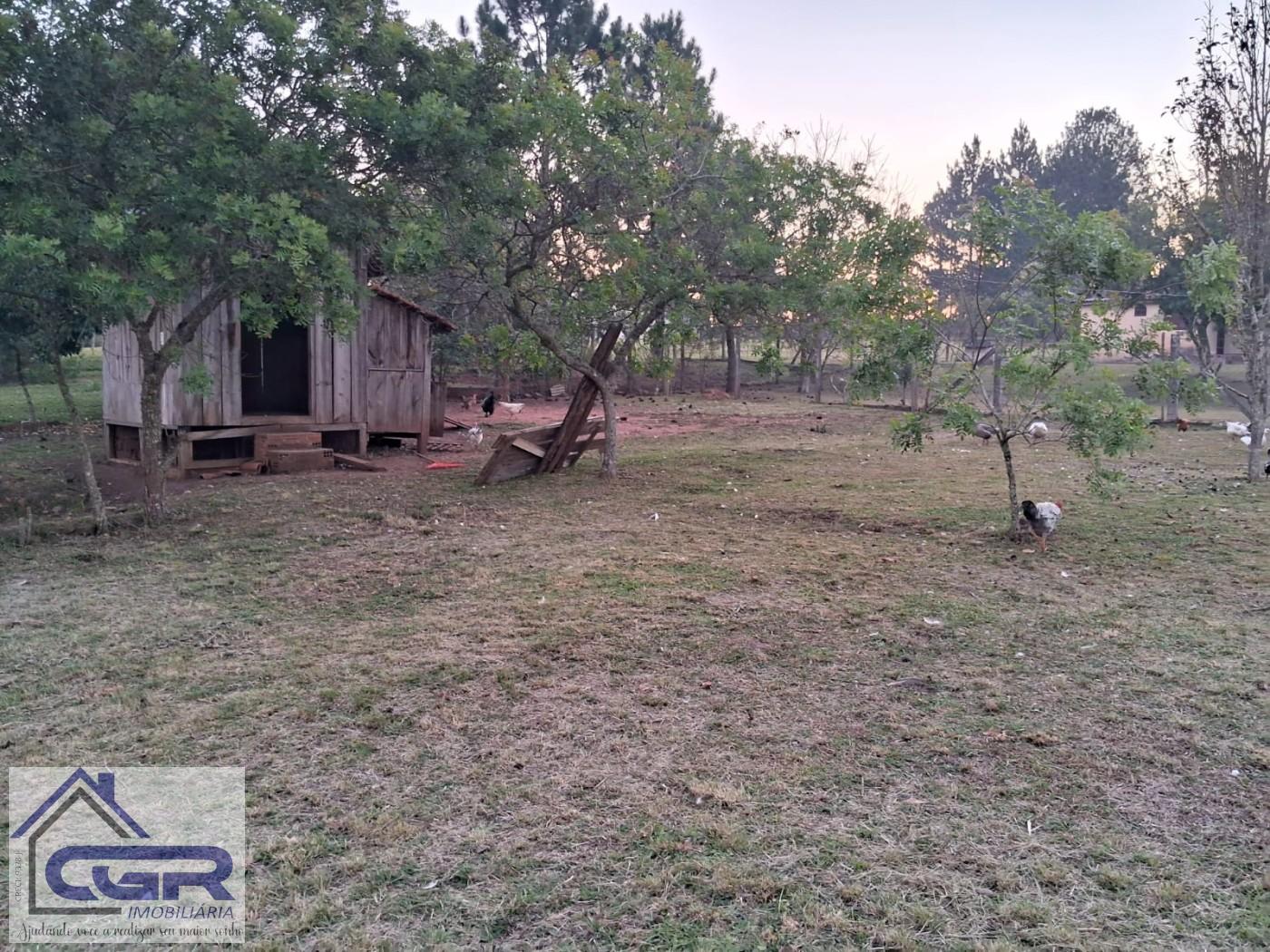 Fazenda para alugar com 3 quartos, 6000m² - Foto 10