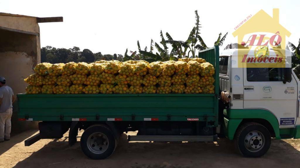 Fazenda à venda com 8 quartos, 1000m² - Foto 59
