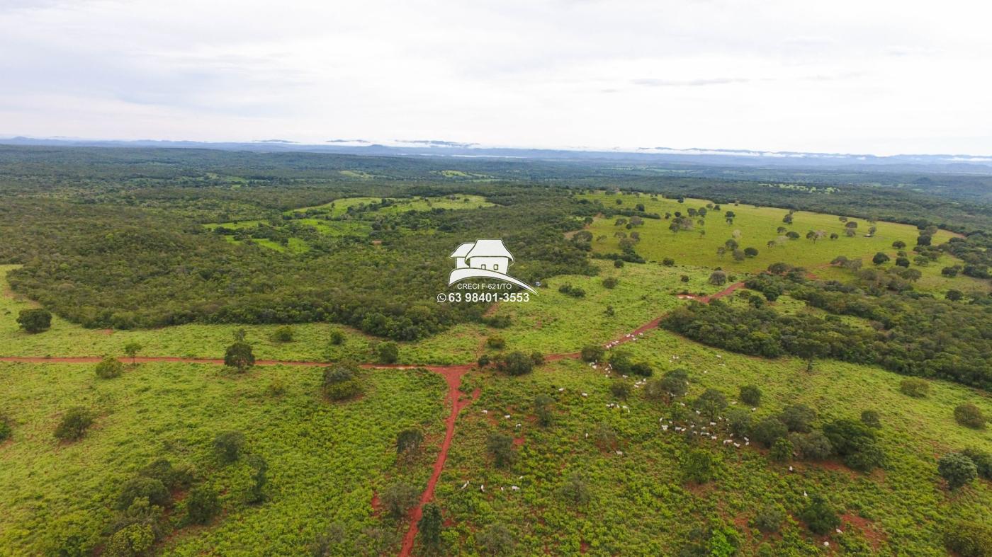 Fazenda à venda, 1m² - Foto 24