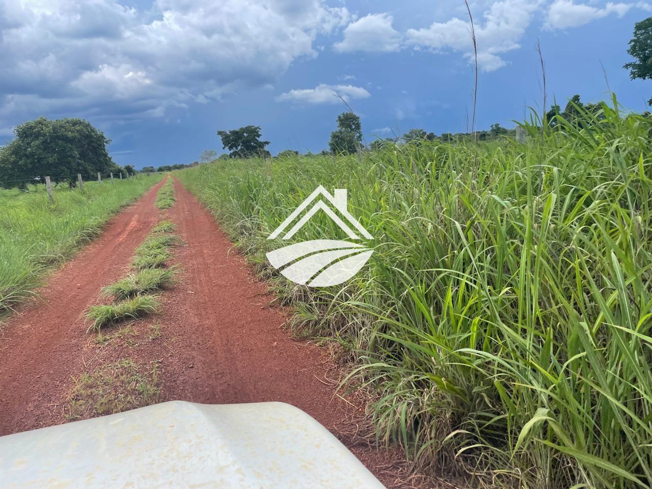 Fazenda para alugar, 1m² - Foto 11