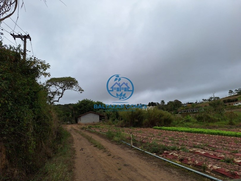 Chácara para alugar com 2 quartos, 4000m² - Foto 23