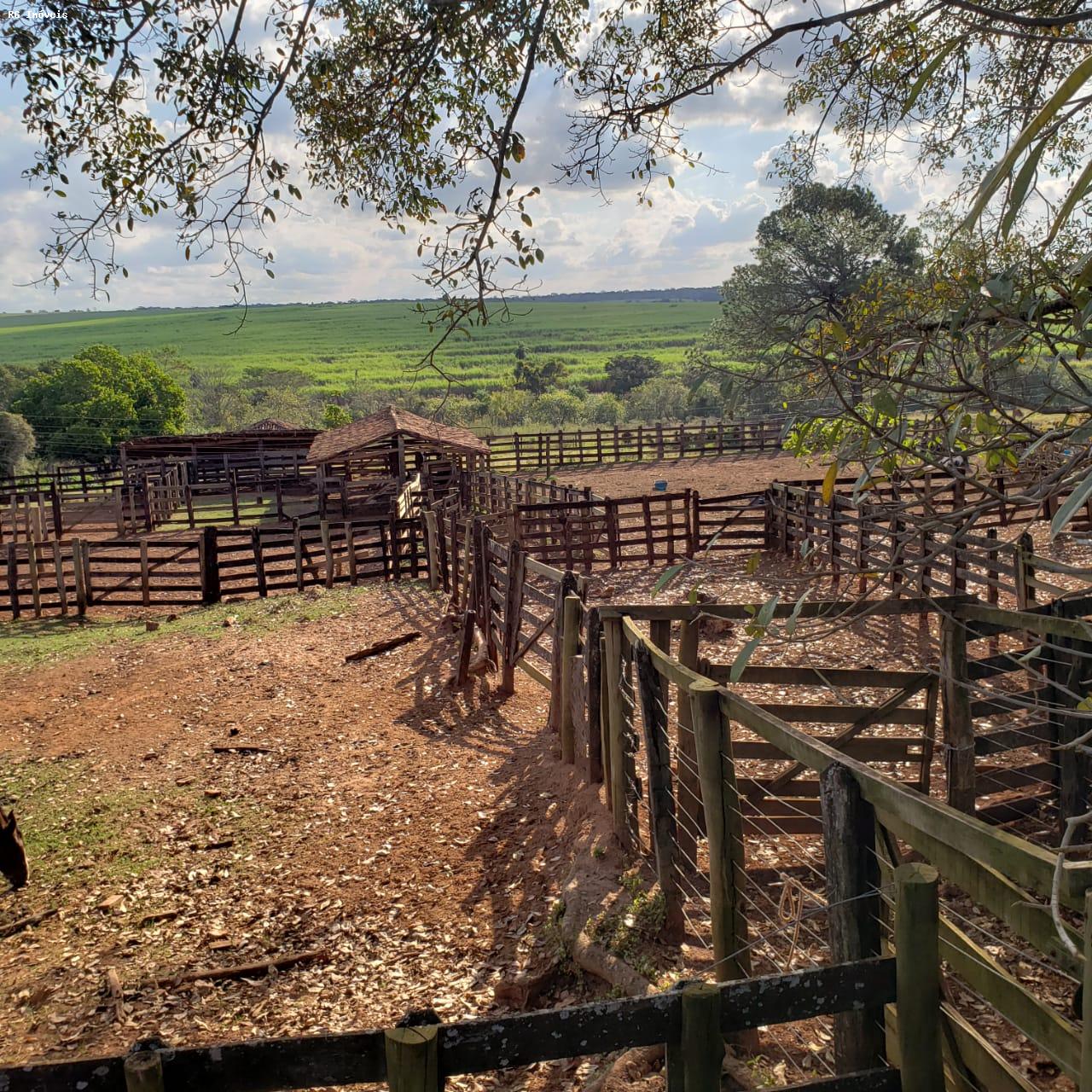 Fazenda à venda com 3 quartos, 3581600m² - Foto 9