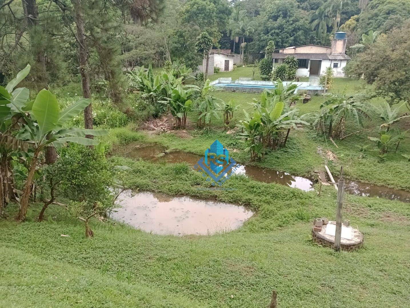 Chácara à venda com 2 quartos, 4000M2 - Foto 10