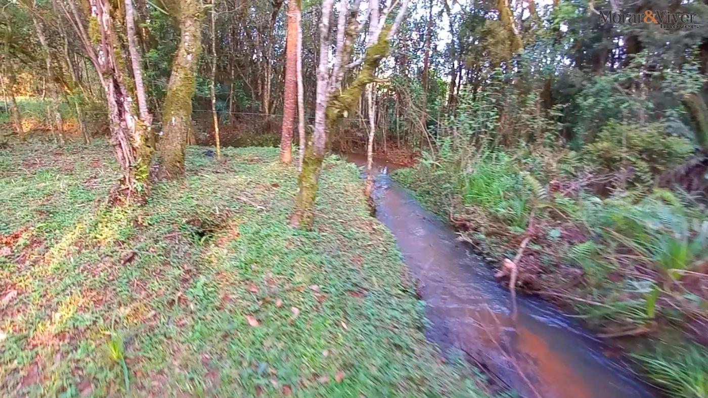 Chácara à venda, 32800m² - Foto 3