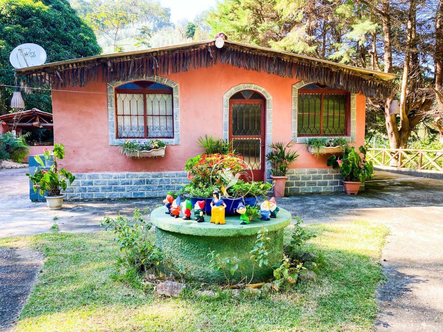 Sítio à venda com 3 quartos, 8000M2 - Foto 4