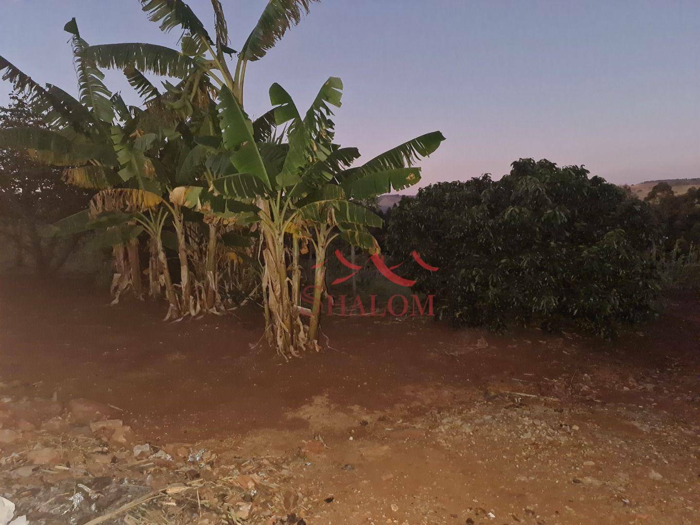 Chácara à venda com 4 quartos, 300m² - Foto 28