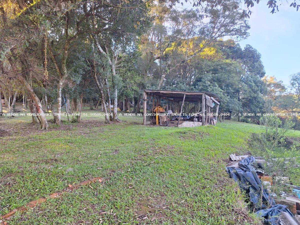 Sítio à venda com 3 quartos, 6350m² - Foto 25