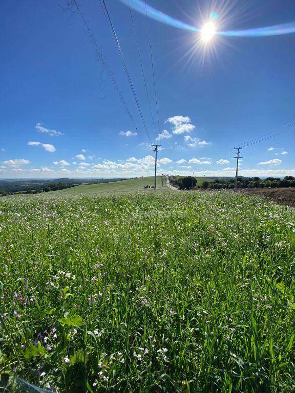 Fazenda à venda, 484000M2 - Foto 6