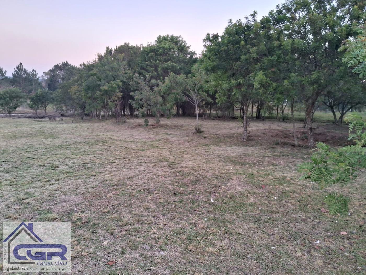 Fazenda para alugar com 3 quartos, 6000m² - Foto 8