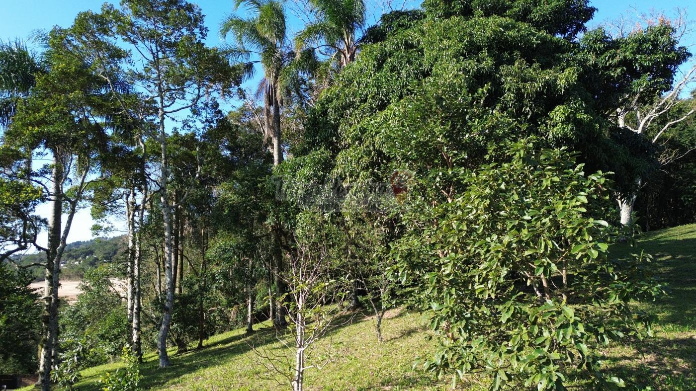 Sítio à venda com 3 quartos, 9659m² - Foto 45