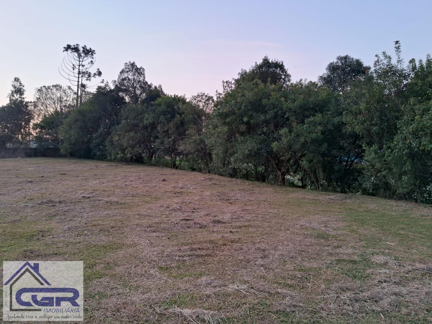 Fazenda para alugar com 3 quartos, 6000m² - Foto 7