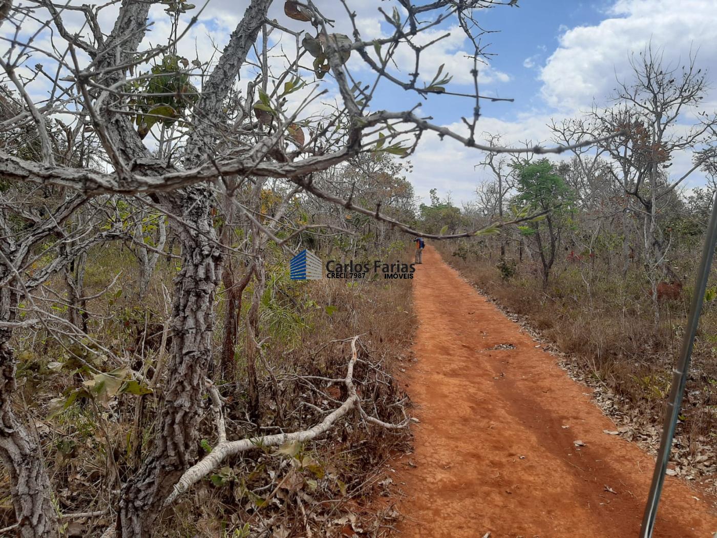 Chácara à venda, 20000m² - Foto 31