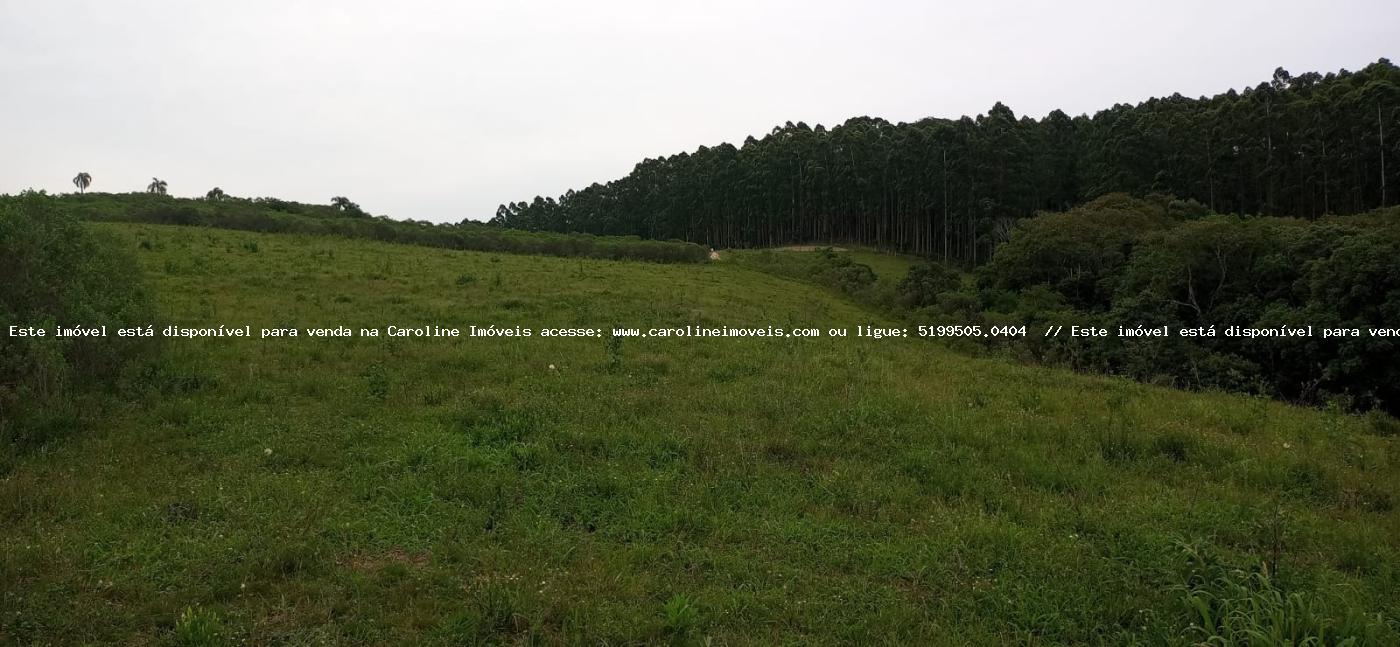 Loteamento e Condomínio à venda, 300000m² - Foto 6