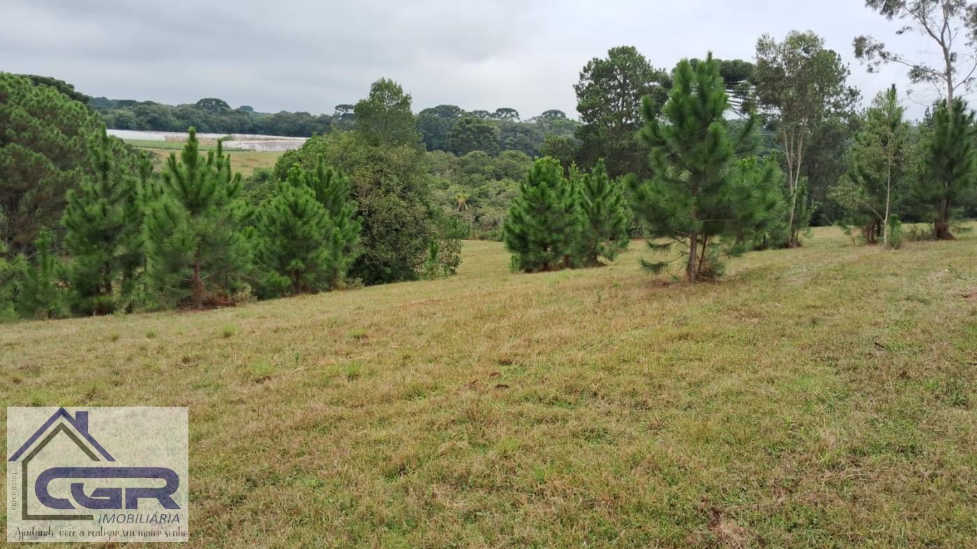 Loteamento e Condomínio à venda, 143200m² - Foto 11