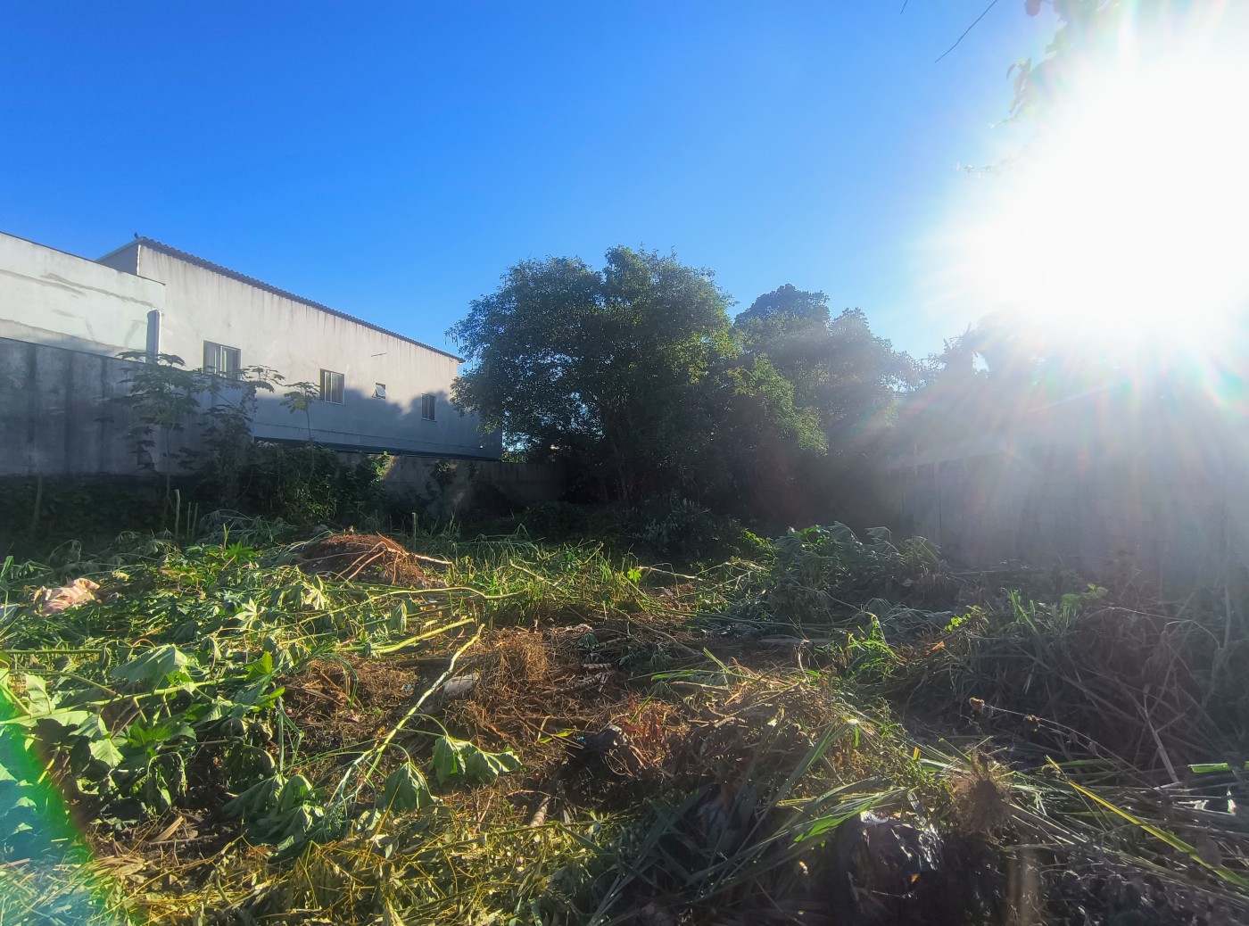 Terreno à venda, 450m² - Foto 5
