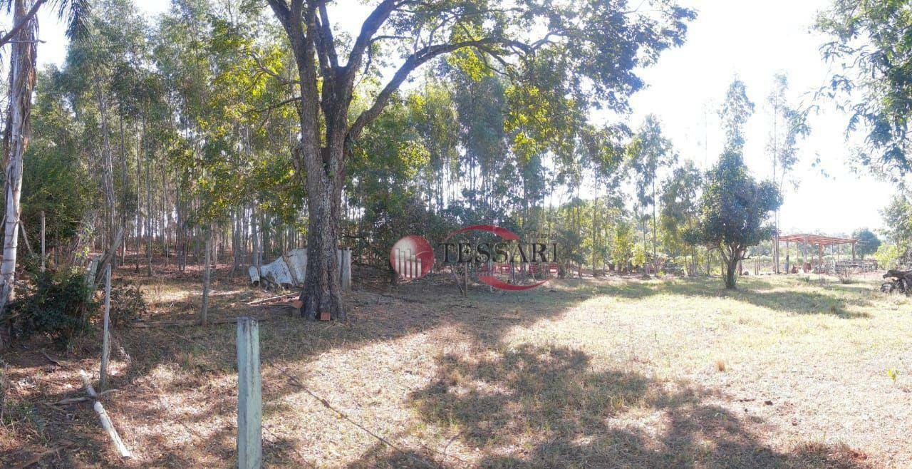 Sítio à venda com 3 quartos, 180m² - Foto 21