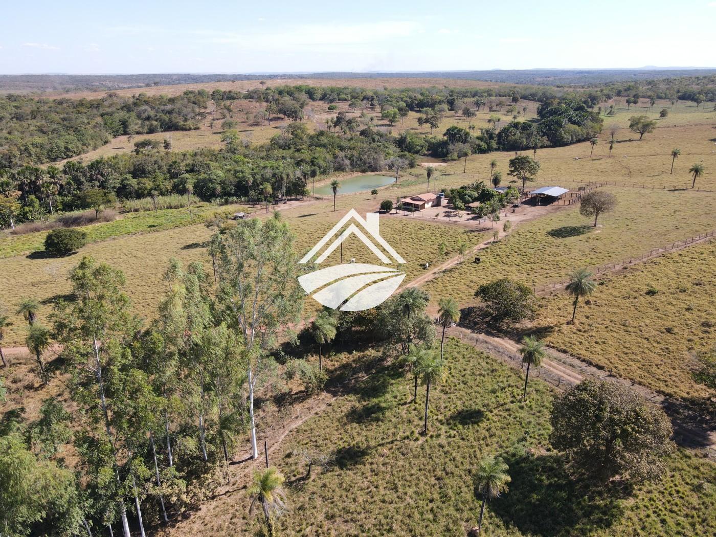 Fazenda à venda com 3 quartos, 452980m² - Foto 11