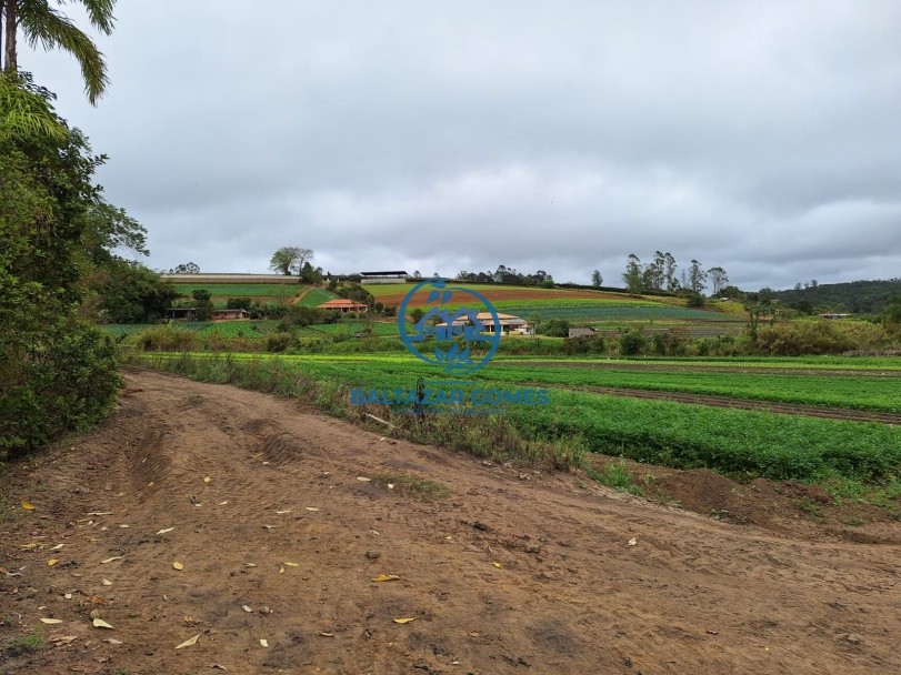 Chácara para alugar com 2 quartos, 4000m² - Foto 22