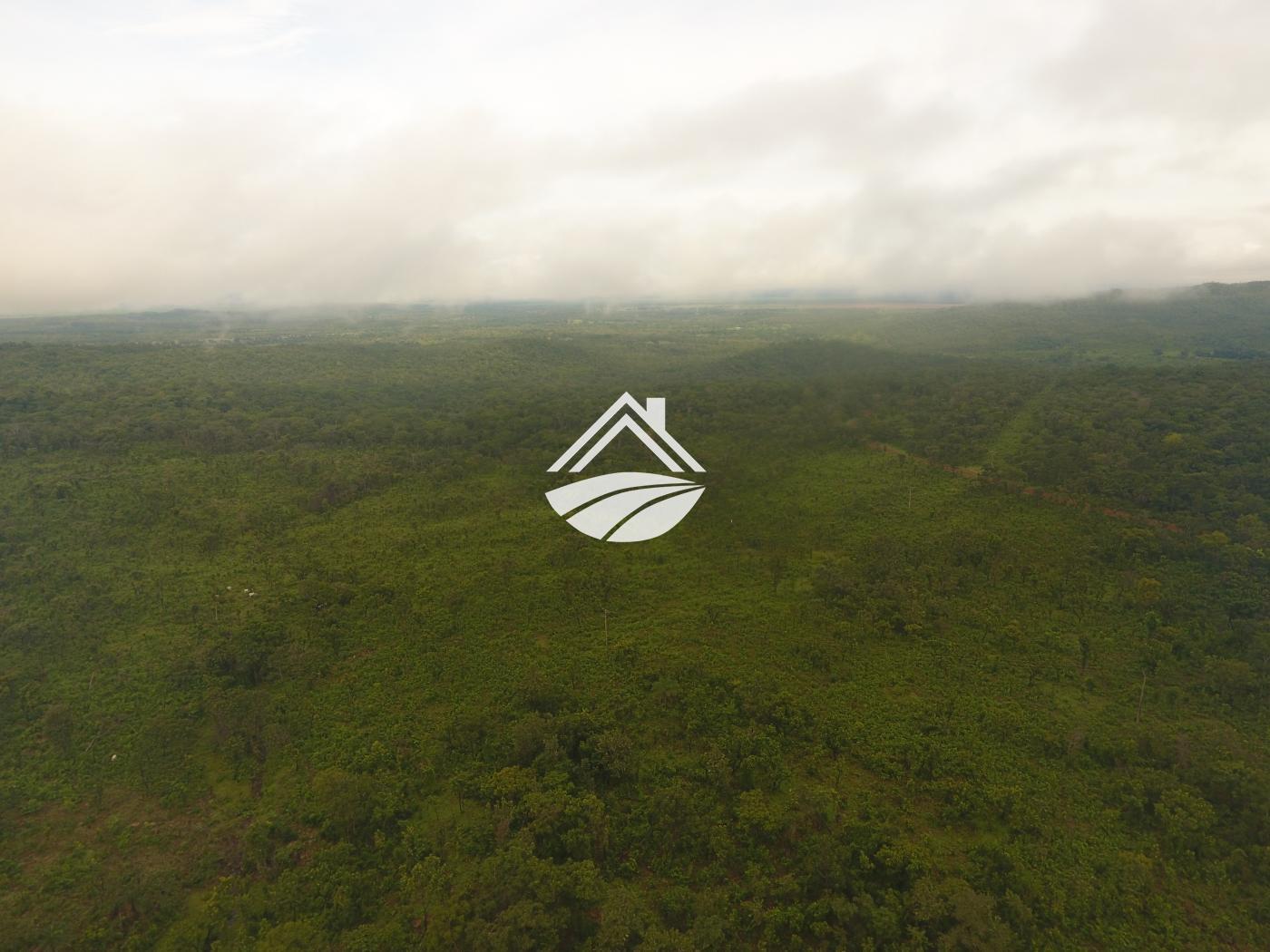 Fazenda à venda, 1m² - Foto 8