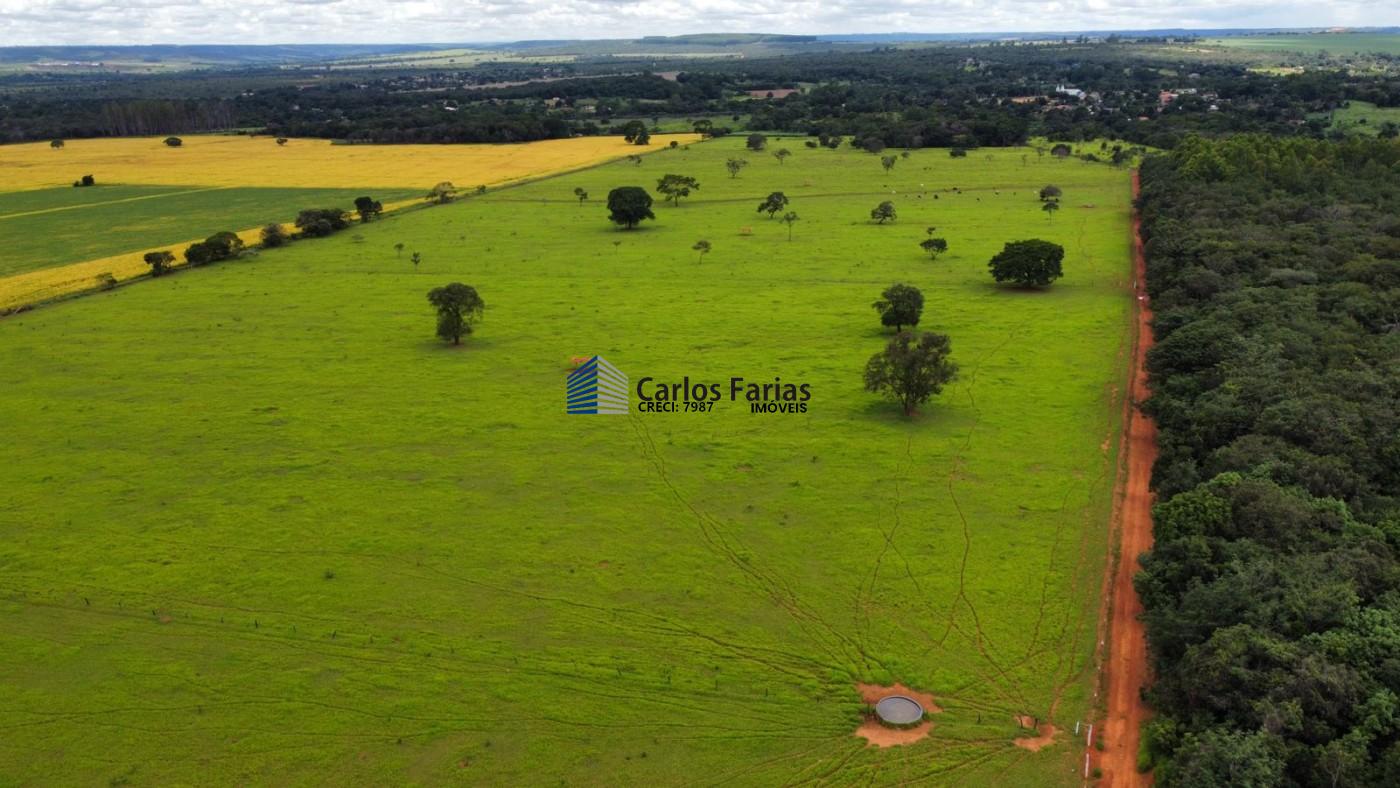 Fazenda à venda com 3 quartos, 230m² - Foto 13