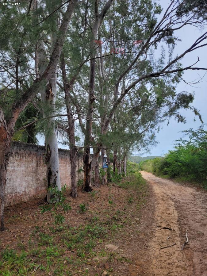 Sítio à venda com 6 quartos, 2540m² - Foto 31