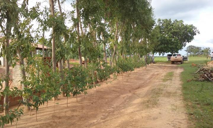 Fazenda à venda - Foto 1